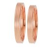 veres-yamoe-roz-chresos-steryiathes-trio5-k9-k14-e-k18-3-20-chil-1260