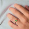 monopetro-thachtelithi-chresos-k14-me-smaraythi-a17354