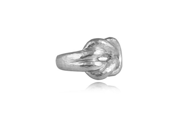 thachtelithi-kompos-toe-erakleos-apo-epirothiomeno-asemi-925deg-a19026